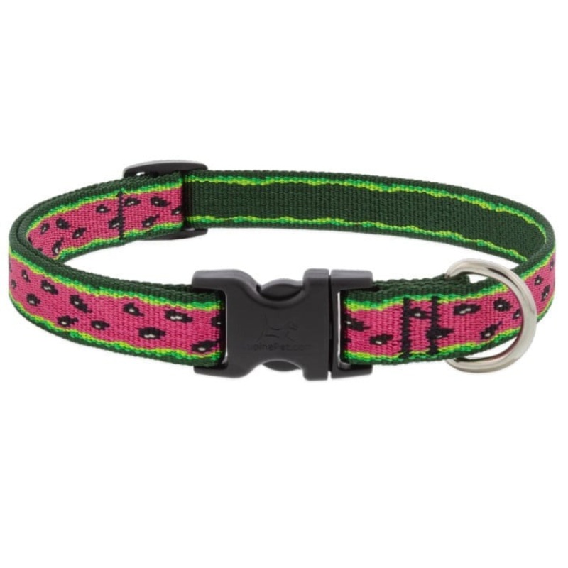 Lupine MicroBatch Safety Adjustable Dog Collar 3/4″x 13″-22″ Watermelon