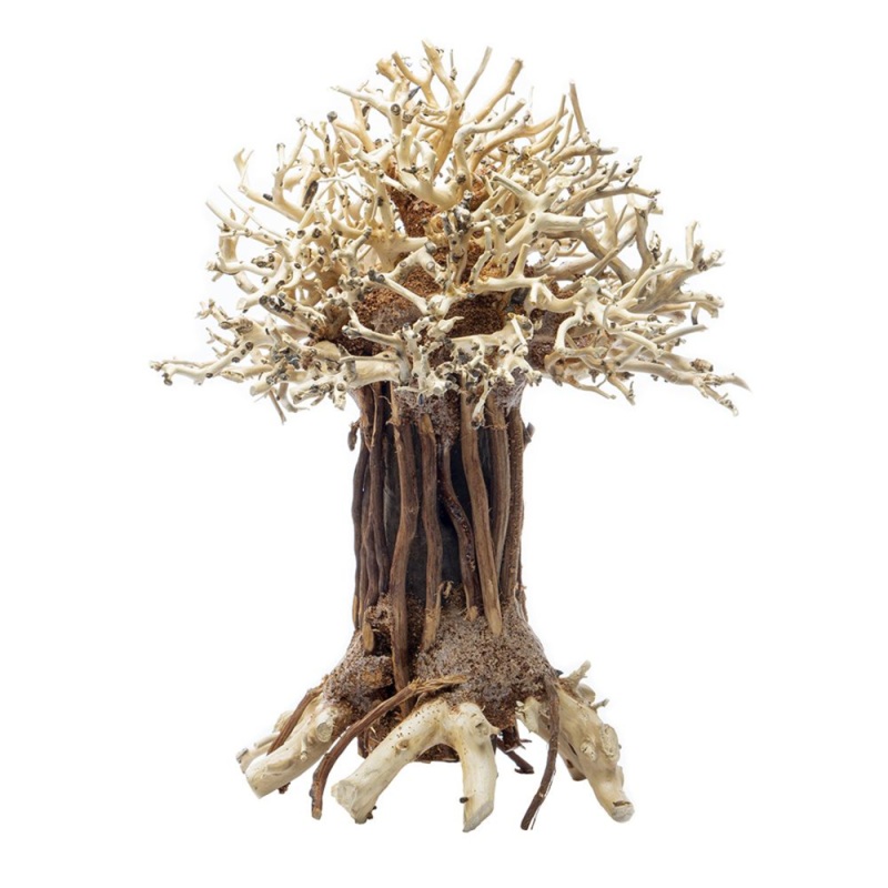 Pagoda Bonsai Wood – Medium / 15x20x12cm / BOX