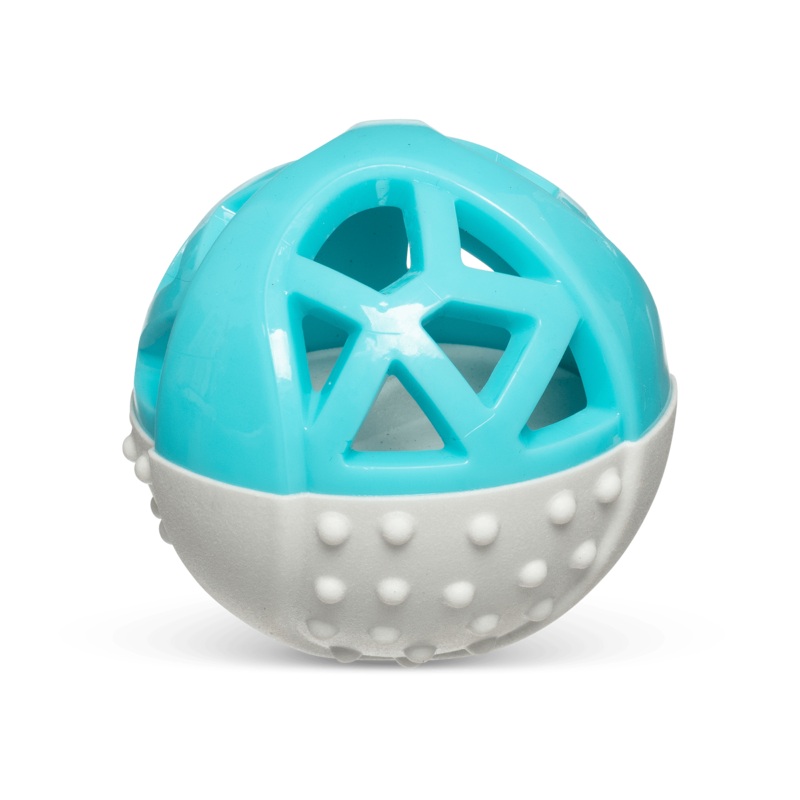 Totally Pooched Squeak Ball Toy for Dogs 3.5 in