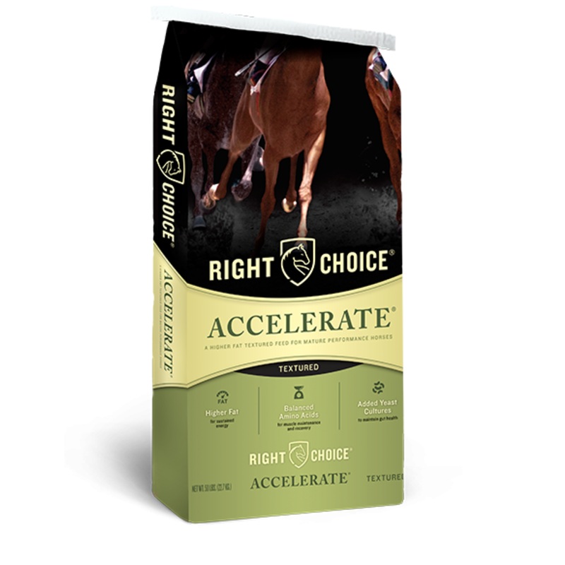 Accelerate Textured Horse Feed