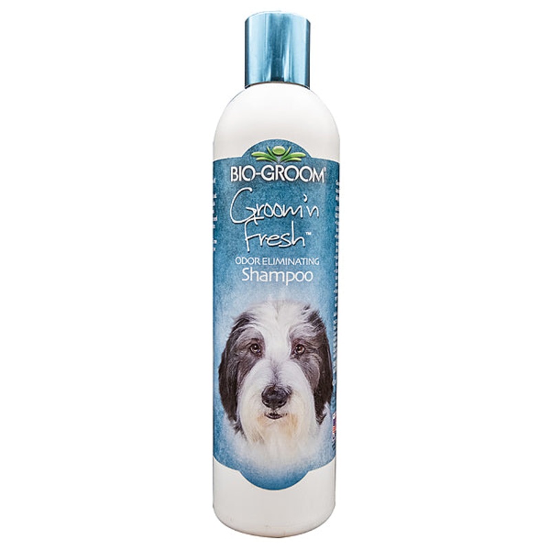 Bio-groom Shampoo Groom N’ Fresh 12OZ